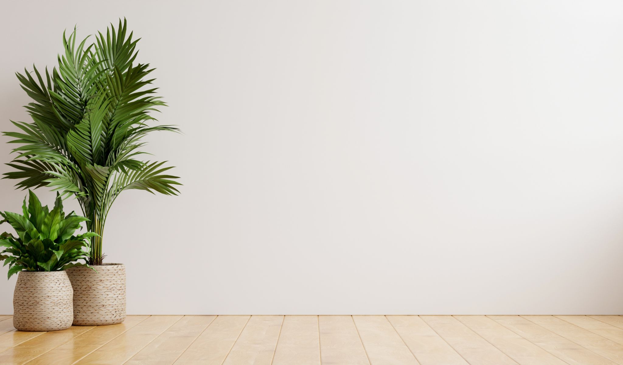 Two potted green plants on a light wooden floor against a plain white wall.