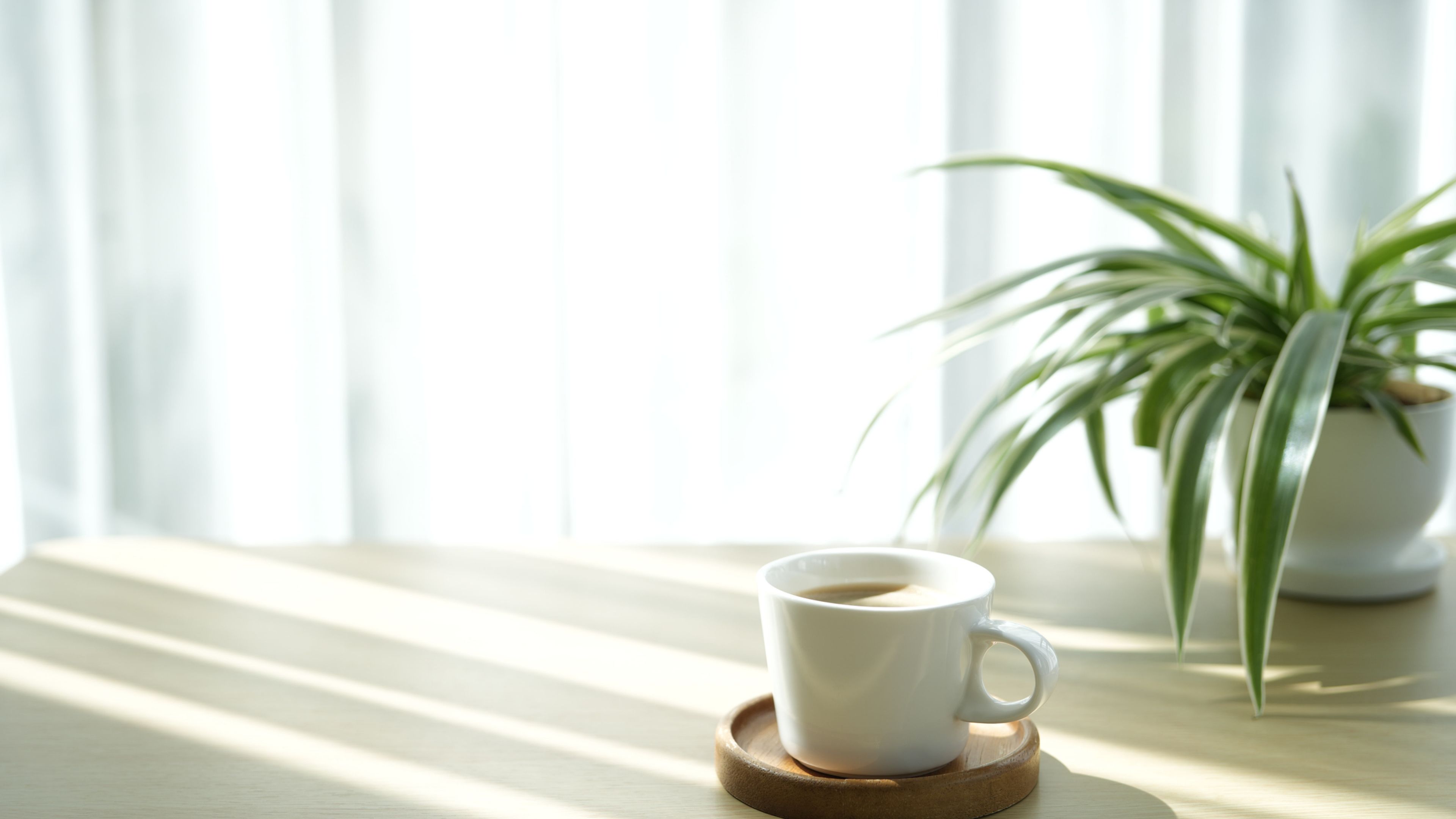 A white coffee cup on a wooden coaster sits beside a potted plant on a sunlit table.