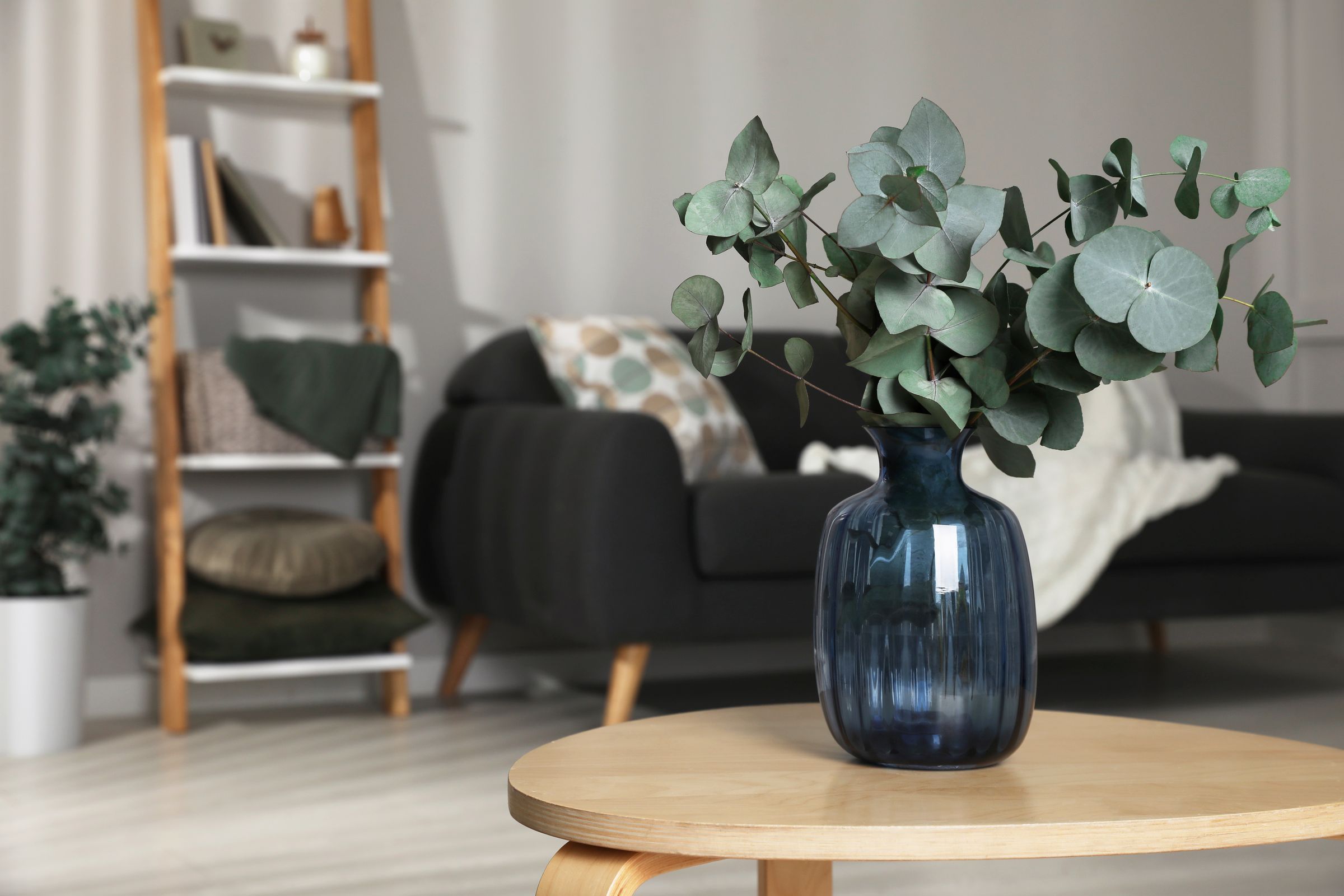 Blue vase with eucalyptus branches on a wooden table in a cozy living room with a sofa and shelves in the background.
